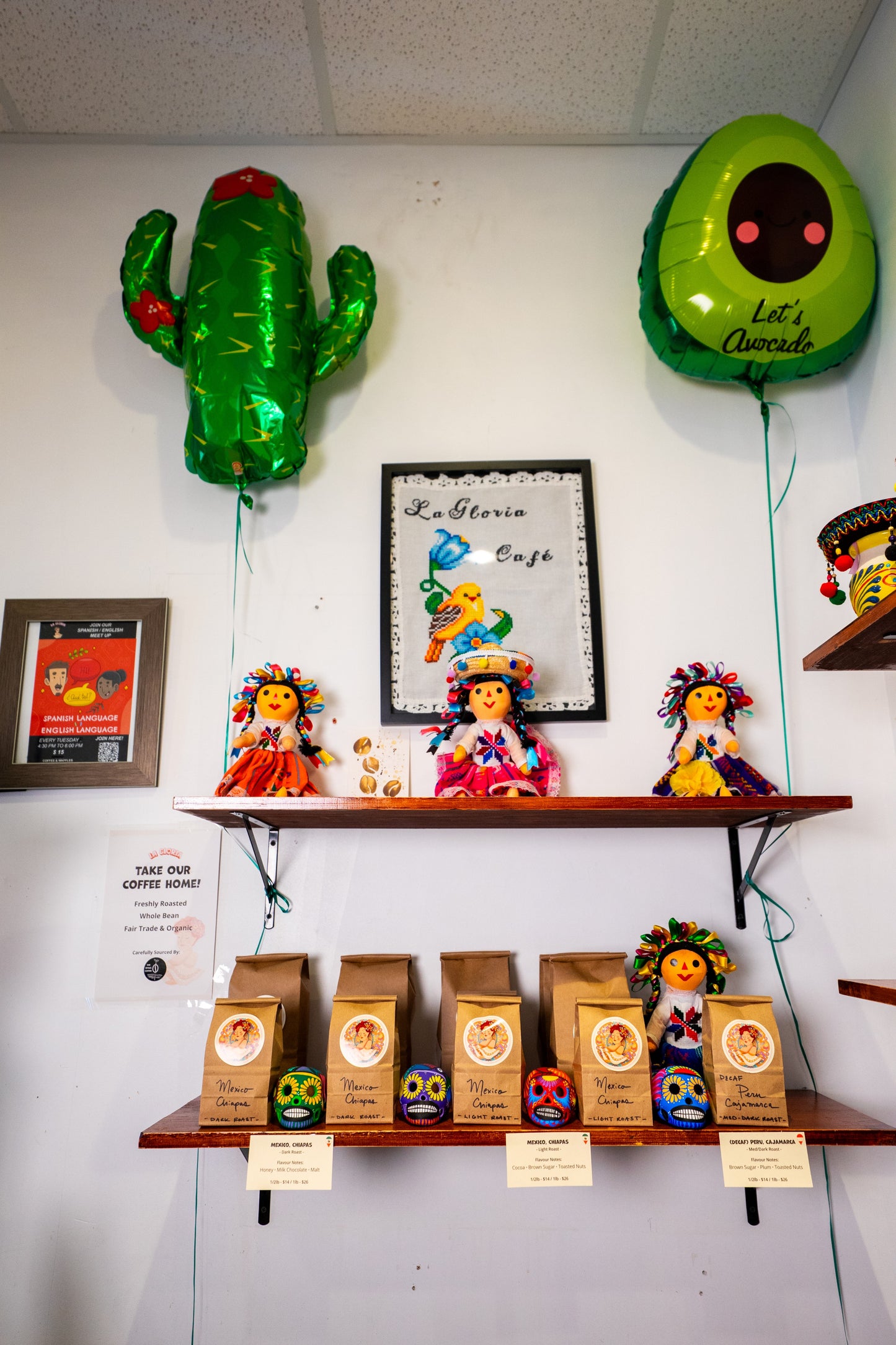 1 lb CHIAPAS COFFE (Dark/Light)